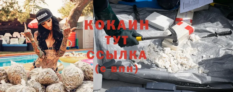 Cocaine 98% Никольское